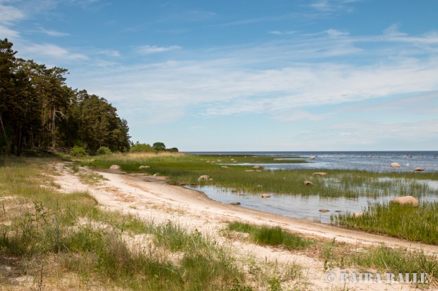 Rīgas jūras līcis pie Mērsraga