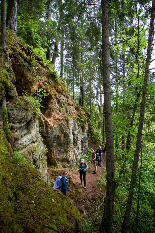 Atsegumu augstums mēdz būt iespaidīgs.