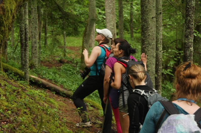 Krūmos pamanīts putniņš un visi nedaudz pieklust.