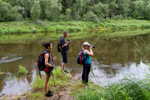 Pieķerti aplūkojam atsegumus.